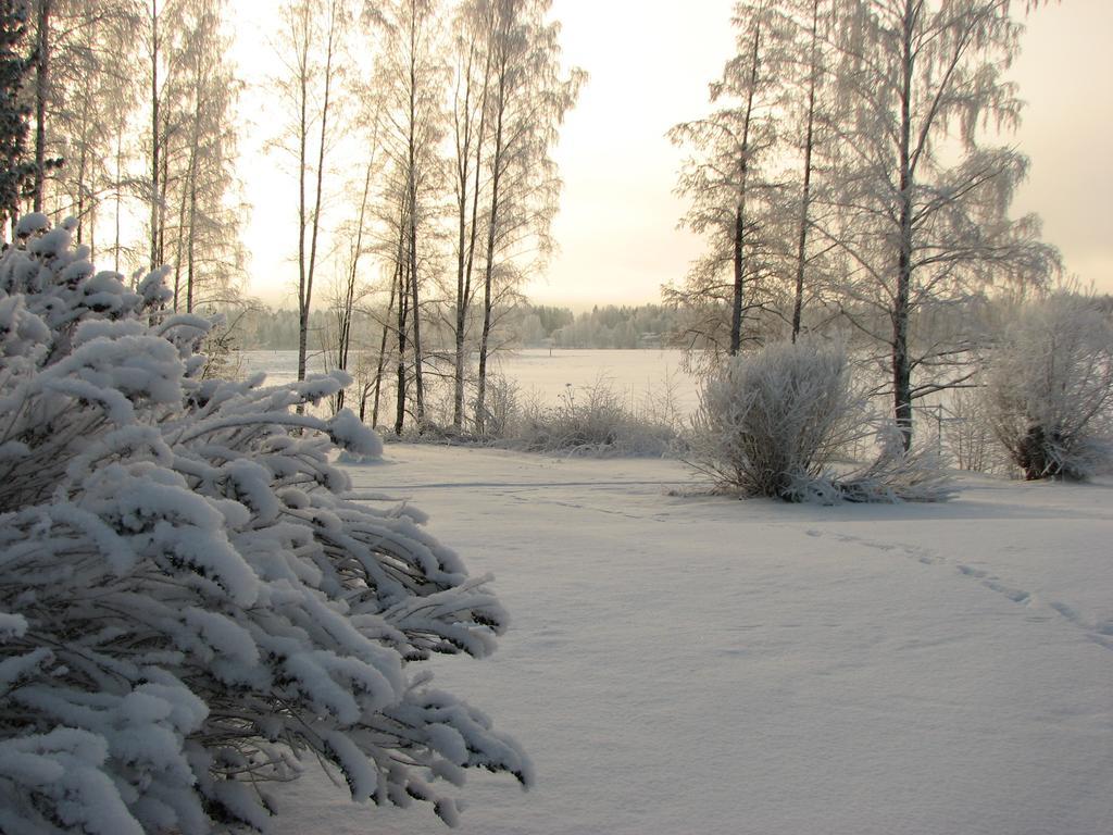 Lomakeskus Kuntoranta Hotel Varkaus Kültér fotó